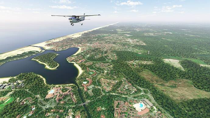 Microsoft Flight Simulator 2021-05-15 14_58_41