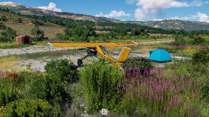 Microsoft Flight Simulator 2024 Screenshot 2026.01.21 - 23.04.00.23 (1)
