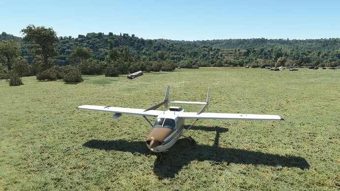 Microsoft Flight Simulator Screenshot 2022.04.26 - 19.33.08.60