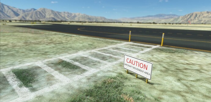 Microsoft Flight Simulator 8_18_2022 8_57_38 AM