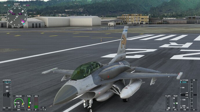 Microsoft Flight Simulator 12_17_2021 7_01_32 PM