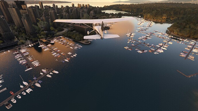 Microsoft Flight Simulator 2023-01-20 10_32_17 AM