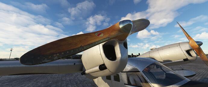 Microsoft Flight Simulator 1_20_2022 9_27_33 PM