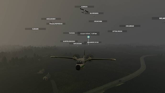 Microsoft Flight Simulator_2021.07.17-20.31