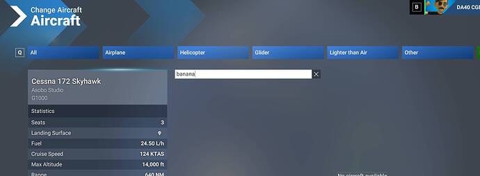 DA40CGDFQ_2025.11.07_15h46m31s