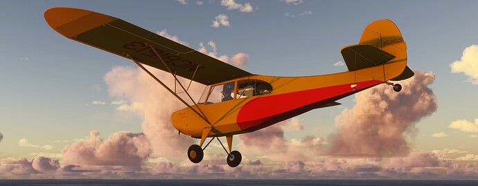 Microsoft Flight Simulator 2024 6_30_2025 10_46_55 AM