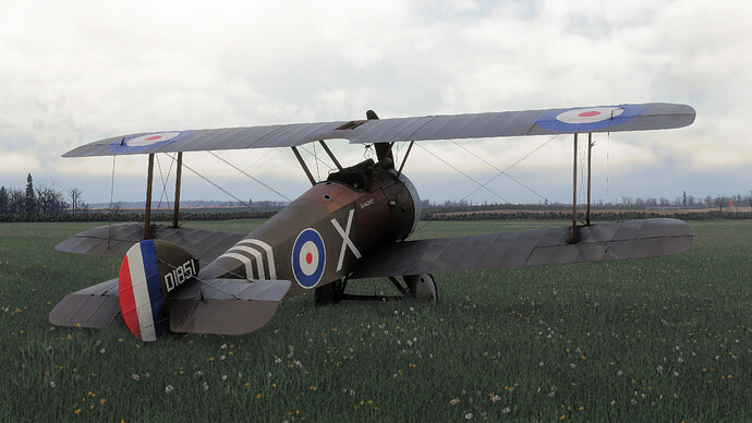 55121780920_bd2689b6ea_4k