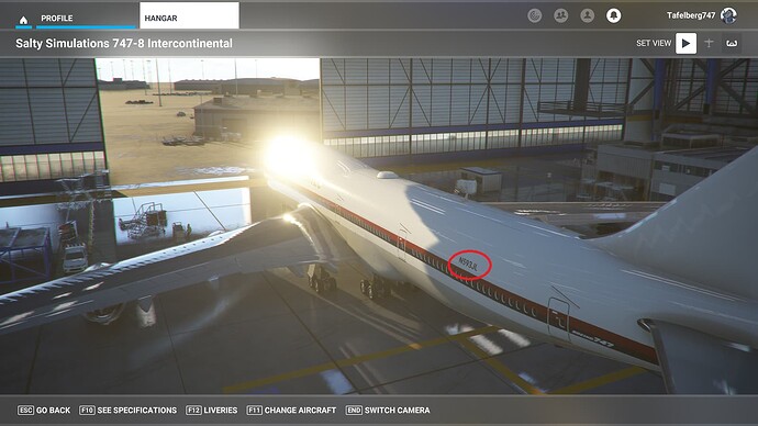 tailnumber (4)