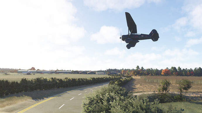 54836705237_d4122f136e_k