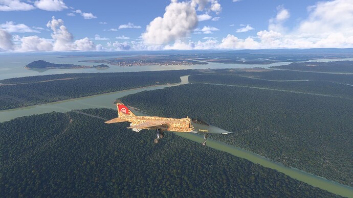 Microsoft Flight Simulator 2024-2025_05_10-09-30-23