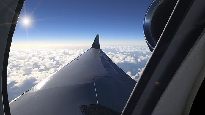 FlightSimulator2024 2025-07-26 12-28-25_074