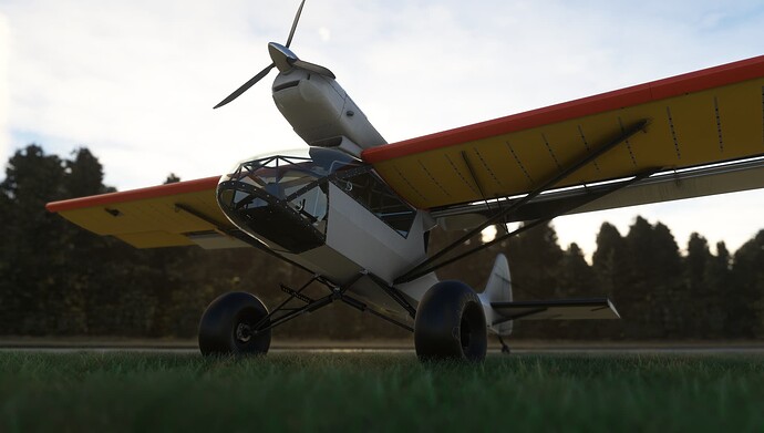 Cockpit.PNG.PNG