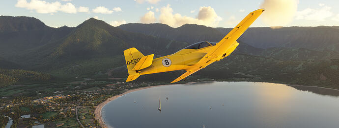 Microsoft Flight Simulator 2024 5202026 13525 PM