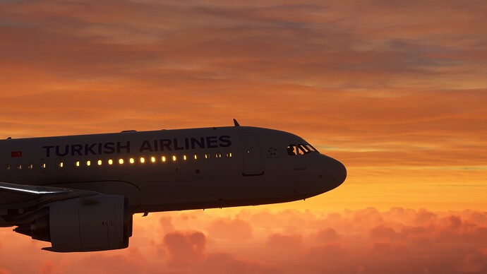 Microsoft Flight Simulator 4.03.2024 19_06_52