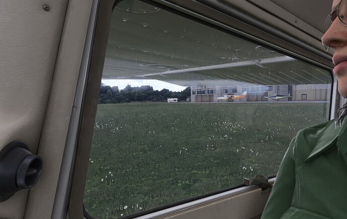 Microsoft Flight Simulator 2024-2024_11_22-20_50_29-01