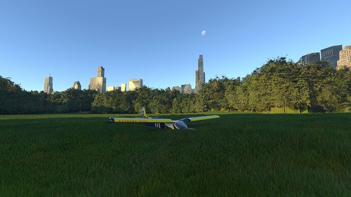 Microsoft Flight Simulator (2)
