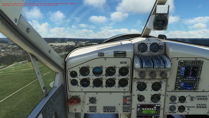 Beaver_05