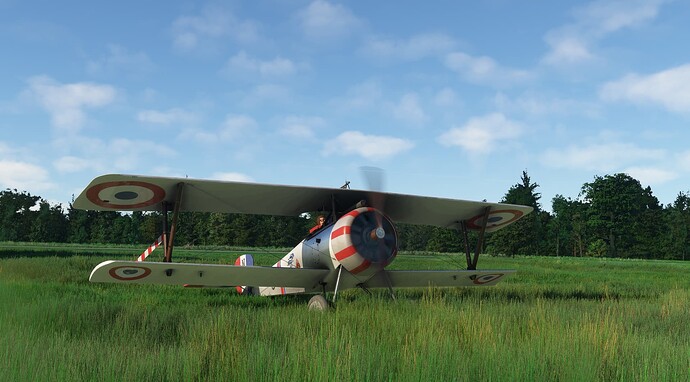 2024-07-01 12_56_17-Microsoft Flight Simulator - 1.37.19.0