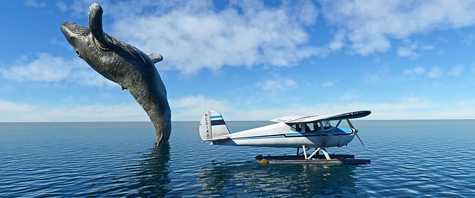 Blue Whale