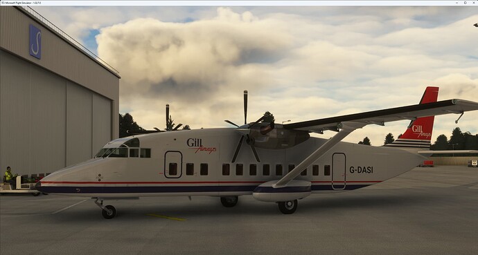 Microsoft Flight Simulator 17_05_2023 19_39_53 (Large)