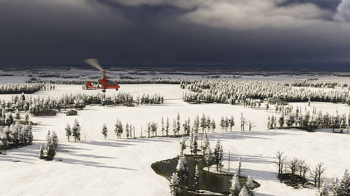 Microsoft Flight Simulator 2024-2025_11_30-19-55-46