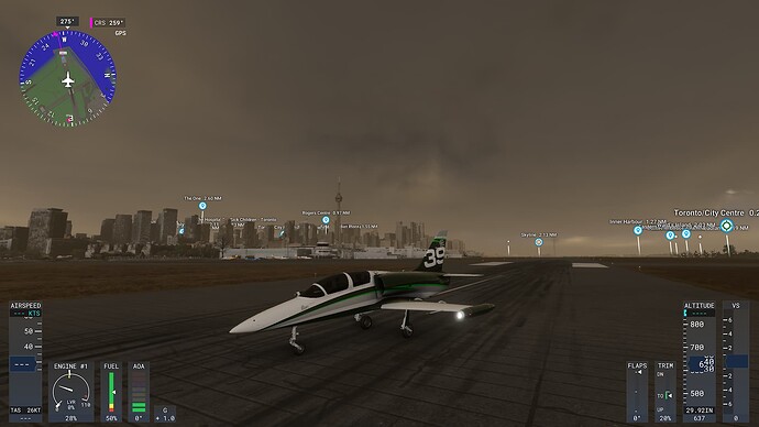 Microsoft Flight Simulator 2024-2024_12_30-21_03_35
