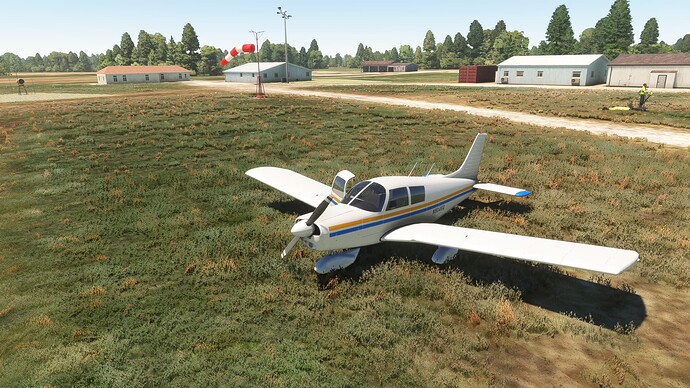 Microsoft Flight Simulator 2025-06-14 1_28_56 PM