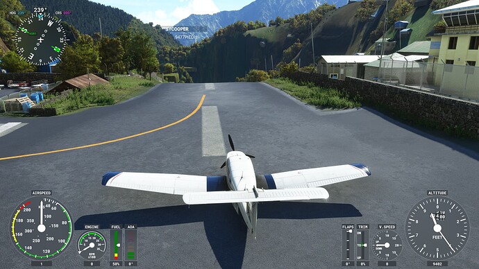 Screenshot (1985)