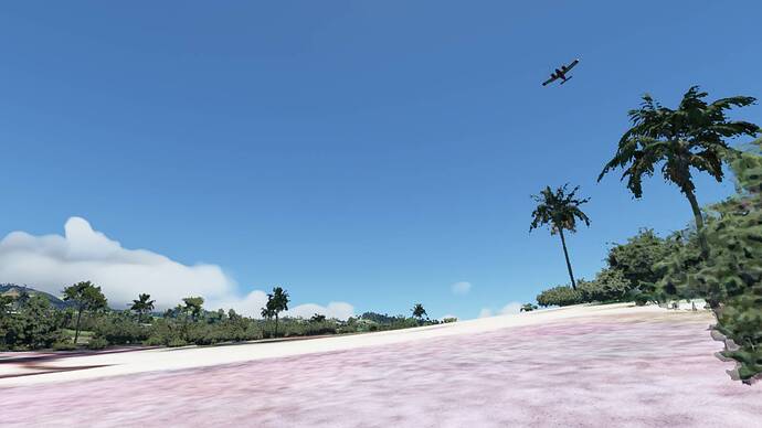 Microsoft Flight Simulator 5_31_2021 12_04_47 PM