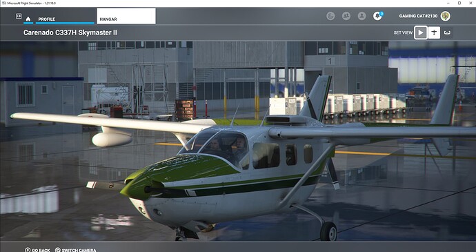 Microsoft Flight Simulator 15.01.2022 22_15_09