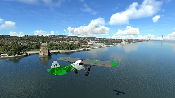 Microsoft Flight Simulator 2022-03-29 10_23_11 AM