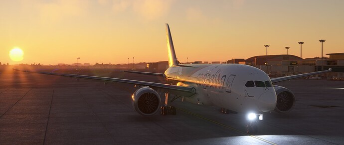 Microsoft Flight Simulator - 1.33.8.0 2023-07-07 8_38_17 PM
