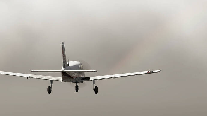 Microsoft Flight Simulator 2024-2025_11_29-17-43-31