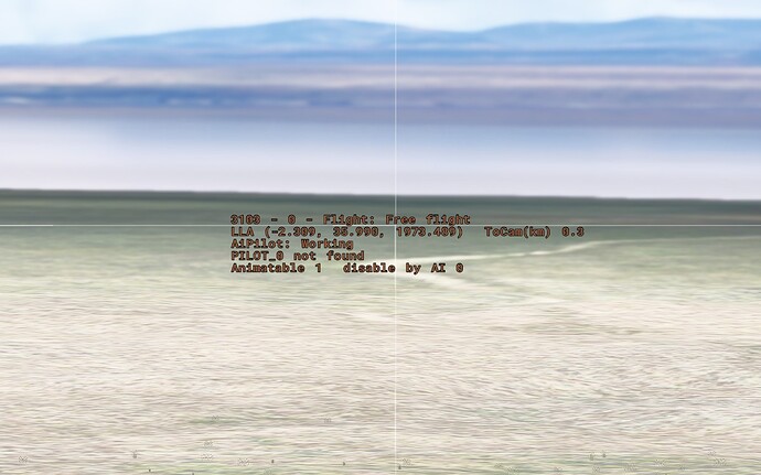 FS2024 - The invisible cheetah (section)