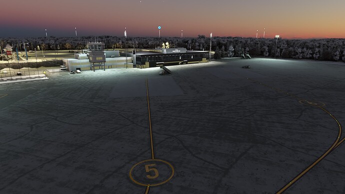 Microsoft Flight Simulator-2024_02_04-17-13-07