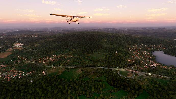 Microsoft Flight Simulator 2021-05-17 08_22_12