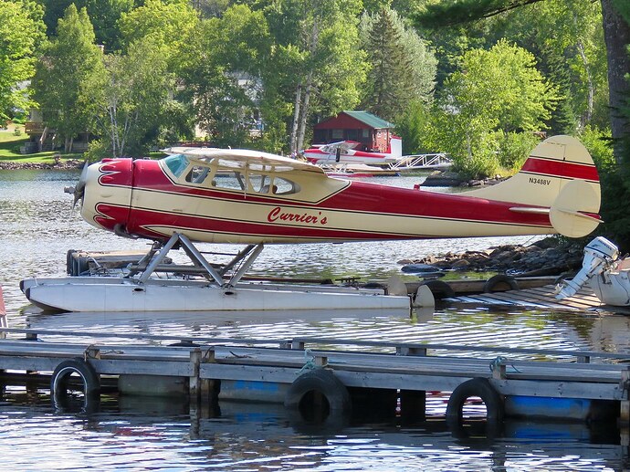 48787880193_33c6c983e2_b