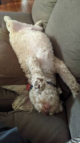 PXL_20210809_132908522