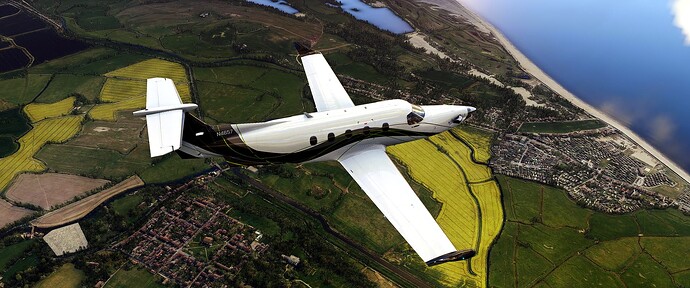 Microsoft Flight Simulator Screenshot 2022.09.12 - 22.47.04.54