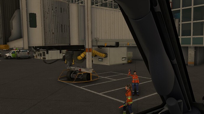 2025-02-02 13_17_17-Microsoft Flight Simulator - 1.38.2.0