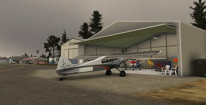 Microsoft Flight Simulator Screenshot 2024.01.14 - 20.46.03.21
