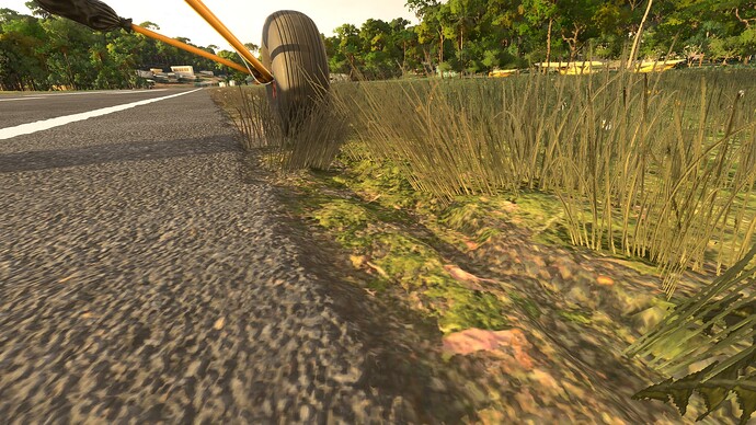 Savusavu (NFNS) Runway Edge