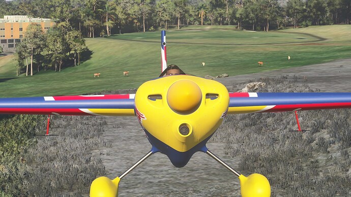 Cows come back takeoff