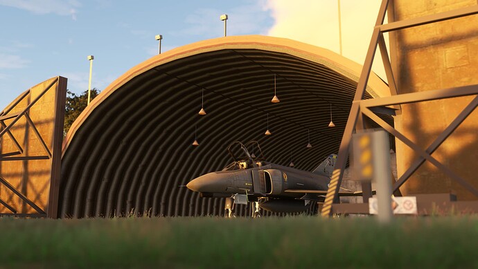 Microsoft Flight Simulator (421)