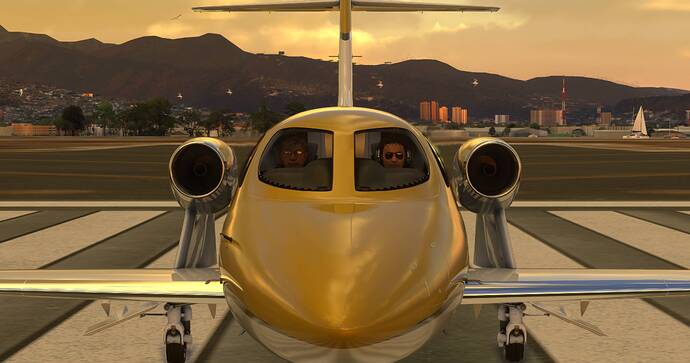 Microsoft Flight Simulator 2024 2_20_2026 12_10_06 AM