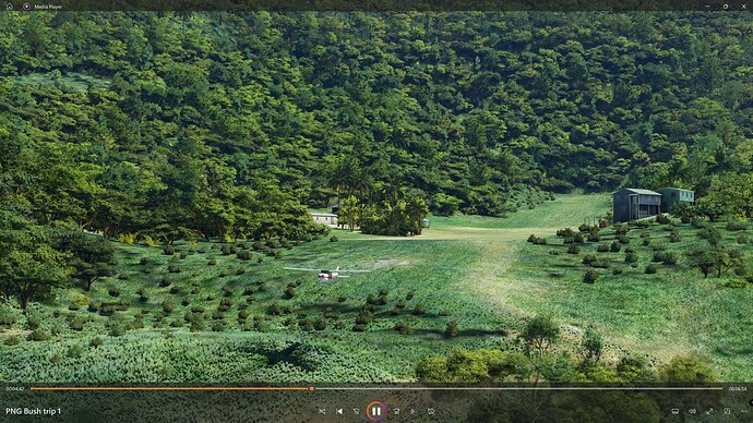 FS2020 2023-06-03 006