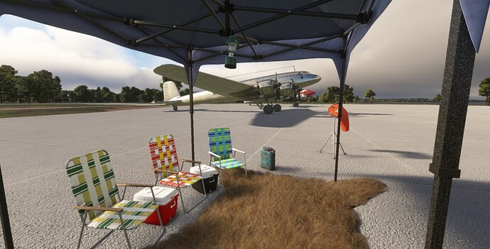 Microsoft_Flight_Simulator_2024-09-01_4_20_05_PM