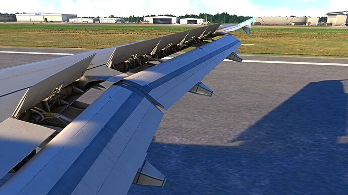 Microsoft Flight Simulator - 1.29.30.0 30.12.2022 22_17_49