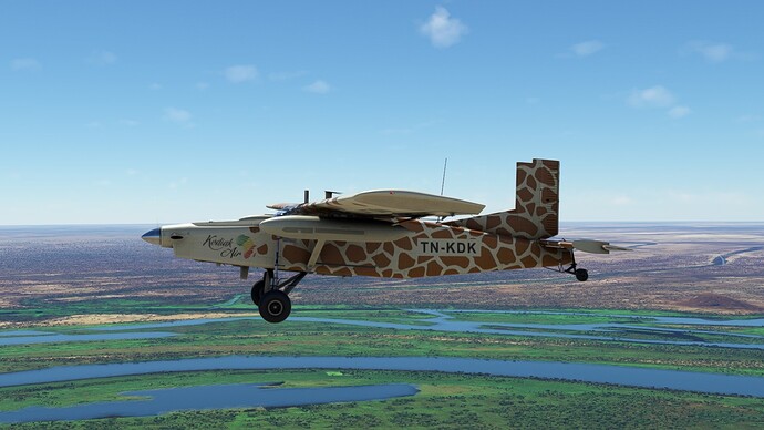 Sudan Africa 2a