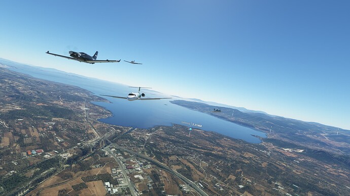 Microsoft Flight Simulator 24_03_2023 19_37_12